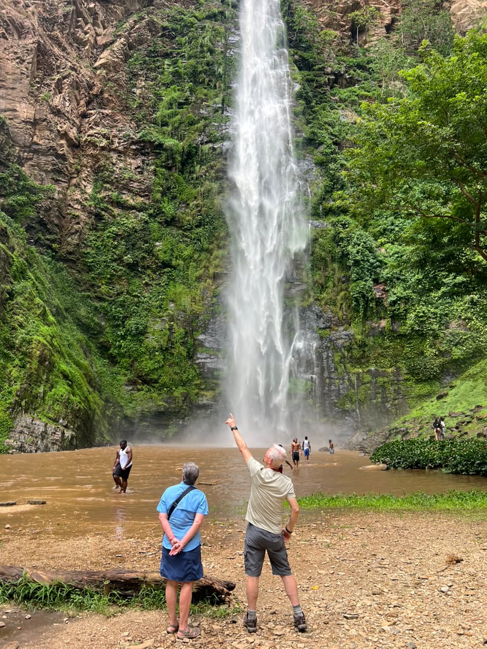 Wli Waterfalls surrounded by forest
